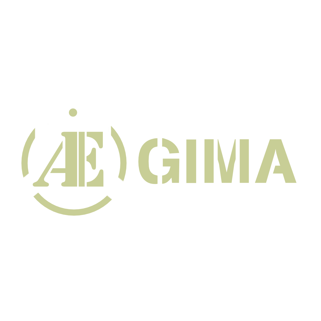 ÆGIMA - Aperçu du projet
