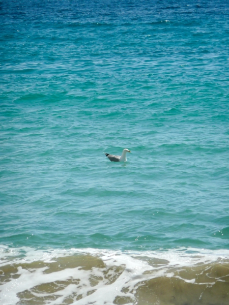 Autres... — visuel 13