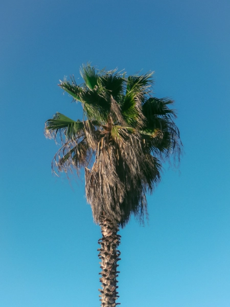 Autres... — visuel 10